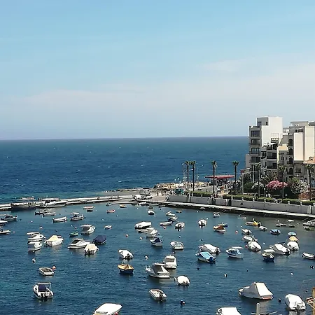 Gillieru Harbour מלון